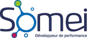 SOMEI - Société de services IT et digitalisation